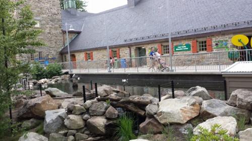 The Duck Pond at the Hamilton Family Children's Zoo