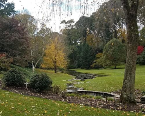 Pictured is the back yard of a private residence in the Chestnut Hill neighborhood of Philadelphia, on an autumn day.

"That's our calling card. It looks like we were never there." - Chuck Hess, Landscape Architect